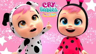 😍😎 PRIMEIRA TEMPORADA COMPLETA 😎😍 CRY BABIES 💦 MAGIC TEARS 💕 Coleção Especial 💙