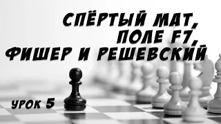 Урок 5 Спёртый мат, поле f7, Фишер и Решевский Шахматные уроки Обучение для детей шахматам