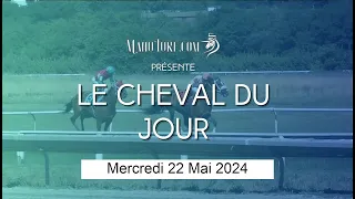 Le Cheval du Jour - PRONOSTIC PMU - Mercredi 22/05/2024