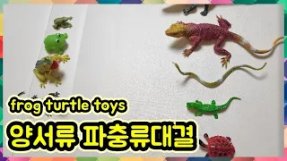 양서류와 파충류 대결 frog turtle toys