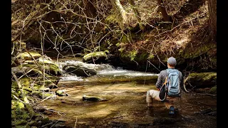 Untamed Waters - Fly Fishing for Wild Trout in the Catskill Mtns (Part 1)