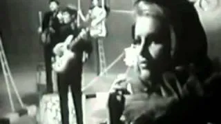 The Animals - Bring It On Home To Me  - stereo remix