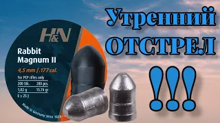 Пули H&N Rabbit Magnum 2 утренний отстрел!