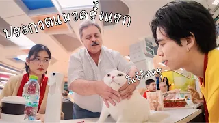 พาแมวใหม่ไปประกวดครั้งแรกในชีวิต