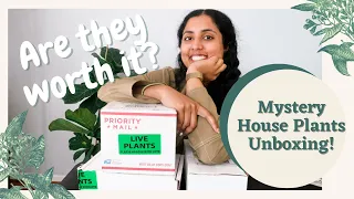 Mystery Houseplants Unboxing & Review!!| Multiple boxes, tropical plants, succulents, etc.