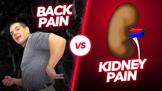 Back Pain vs Kidney Pain - How Can You Tell If Your Back Pain Is Coming From Your Kidney?