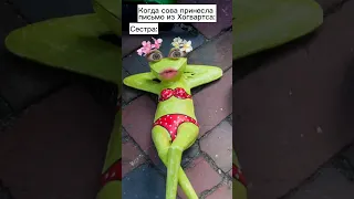 Заколдовал сестру 🐸🪄 #shorts