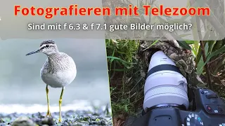 Fotografieren mit Telezoom - Sind mit f 6.3 & f7.1 gute Bilder möglich?