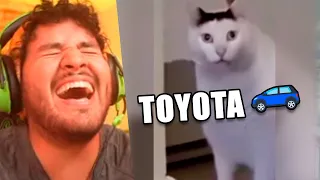 TIKTOKS tan XD que te levantarán a las 3AM