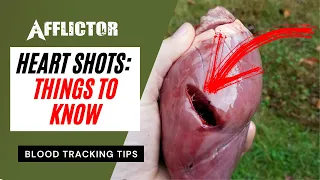 HEART SHOTS on a Deer: Blood Tracking Tips!