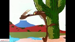 Wile E. Coyote and The Road Runner 1