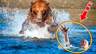 Женщина тонула в реке. Увидев это, медведь сделал нечто шокирующее!