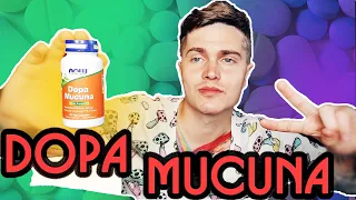 ДОПА МУКУНА (DOPA MUCUNA) МОЙ ОПЫТ | НАСТРОЕНИЕ, КОНЦЕНТРАЦИЯ, МОТИВАЦИЯ | МУКУНА ЖГУЧАЯ 🅰