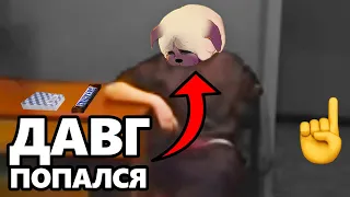 История как DAWG🐺 и Алисон🐷 воровали☝