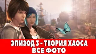 LIFE IS STRANGE - ЭПИЗОД #3 - ТЕОРИЯ ХАОСА (ВСЕ ФОТО)