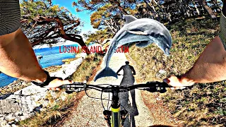 Lošinj island, Croatia Bicycle cruise Giant Talon Hardtail MTB