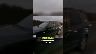 Обочечник-очкошник - решил что он умнее всех!