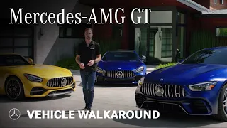 Mercedes-AMG GT Overview