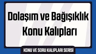 45 Dakikada Tek Video Tüm Dolaşım ve Bağışıklık Sistemi