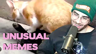 HasanAbi Reacts to UNUSUAL MEMES COMPILATION V107