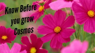 Know before you grow -Cosmos