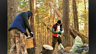 6 ДНЕЙ В ТАЙГЕ ГЛУХОЙ ИЩЕМ ОРЕХ, НЕУДАЧИ ПРЕСЛЕДУЮТ ОДНА ЗА ДРУГОЙ!