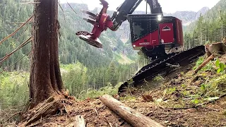 Timberpro TL755D west coast short video slow motion cutting cedar