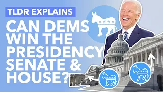 A Democratic Trifecta? Can Democrats win the Presidency, Senate & House? - TLDR News