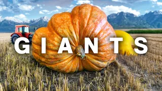 Unreal Giant Veggies at the AK State Fair | Palmer & The Matanuska Colony [S1-E19]