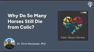 Why Do So Many Horses Still Die From Colic?