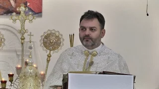 Проповідь отця Олега Шепетяка на Шістнадцяту Неділю по Зісланні Святого Духа