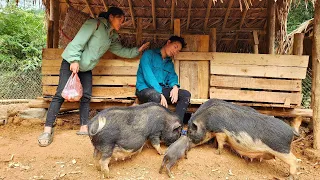 Because of Love, Ly Thi Man came to visit me on a cold day - Results after 1 year of raising pigs