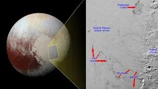 Oceans of Life Beneath Pluto