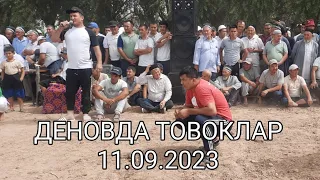 DENOVDA KURASHDA TOVOQLAR 11.09.2023