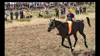 БІР АЙДА ЕКІ ТЕМІР ТҰЛПАР ҰТҚАН ЖҰЛДЫЗ