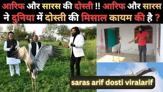Arif Saras Ke Dosti: आरिफ और सारस की दोस्ती !! आरिफ और सारसने दुनिया में दोस्ती की मिसाल कायम की है