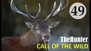 БРИЛЛИАНТ на охоте TheHunter Call of the Wild  # 49