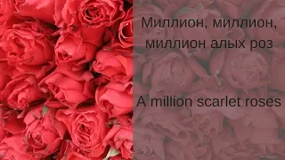 Learn Russian with Songs- Alla Pugacheva A Million Scarlet Roses - Алла Пугачёва Миллион Алых Роз