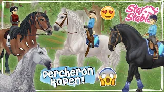 NIEUWE PERCHERON PAARDEN KOPEN + SPECIALE GANG 😱 - Update | Star Stable Online | Daphne draaft door