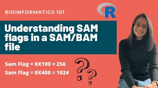SAM flags explained | Understanding SAM flags in a SAM/BAM file | Bioinformatics 101
