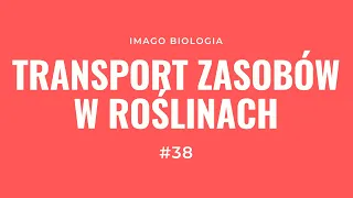 Transport zasobów w roślinach naczyniowych