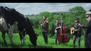 Kerrygold: Cow Concert