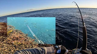 Fishing and spearfishing a Sydney ledge in winter - Bugsy Fishing Ep 33