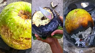 EAT OR PASS? ULTIMATE SURVIVAL ROASTING BREADFRUIT OUTDOORS