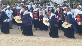 EZoNyazi eBuhleni