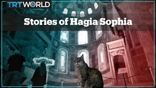 Stories of Hagia Sophia