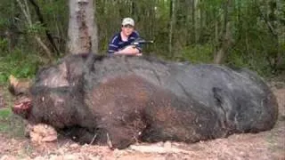 hogzilla