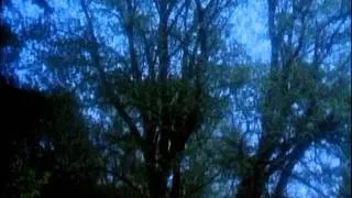 Музыка и кадры из фильма "Робин из Шервуда"
