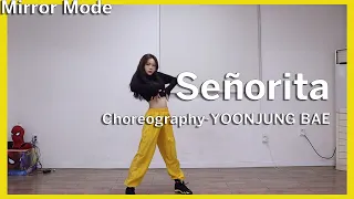 티아라 지연(JI YEON) X 배윤정(YOONJUNG BAE) 'Señorita' Cover Dance Mirror Mode