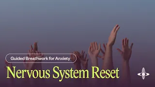 Nervous System Reset: Guided Breathwork (22 minutes)